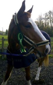 Description: Louise Austin